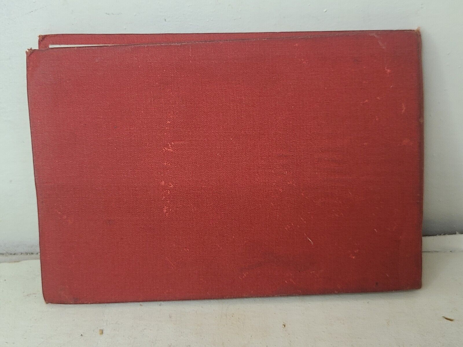 Antique Souvenir book of new South wales 1800s 21 fold-out black & white photos