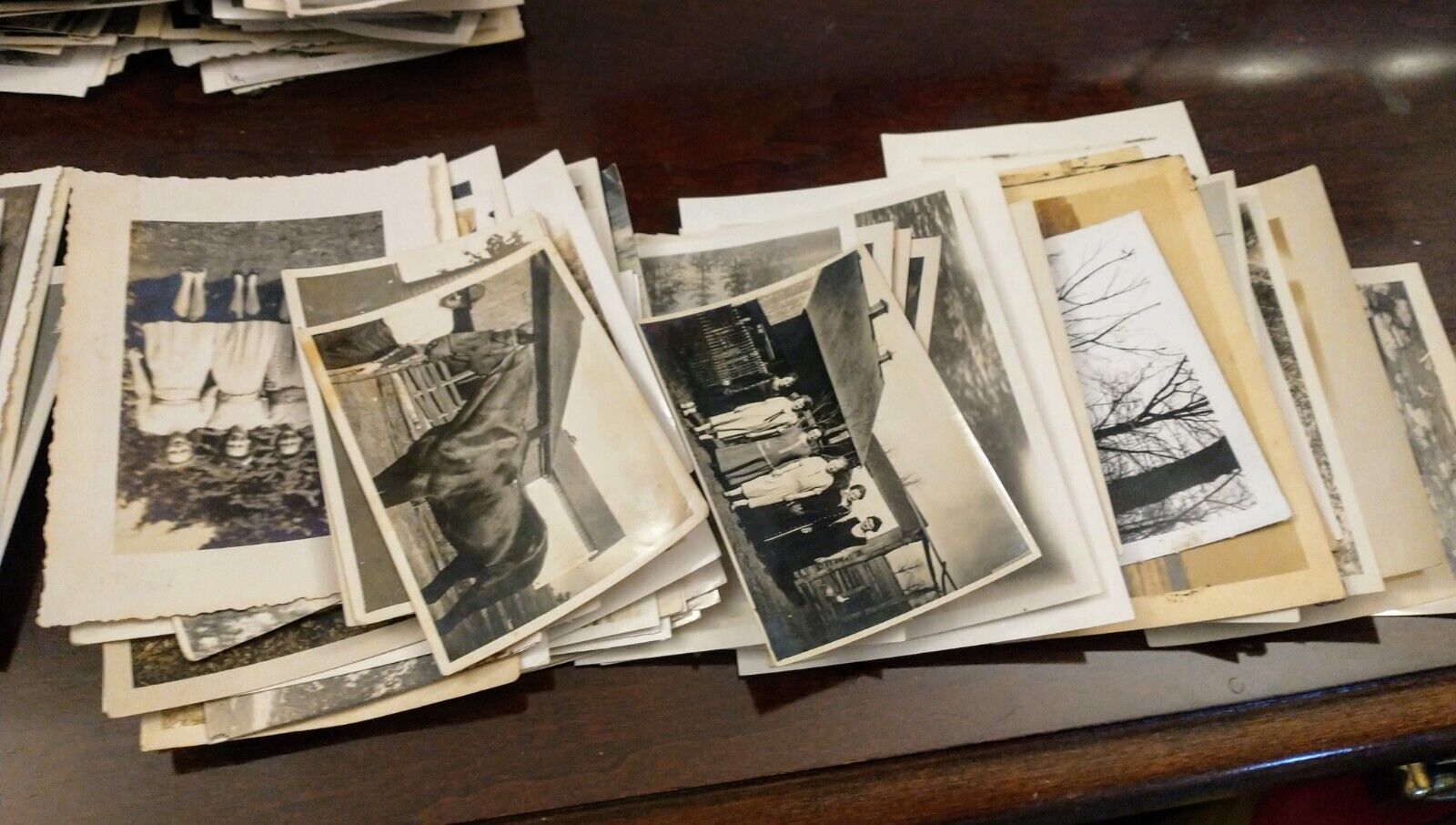 500+ Vintage Black & White Photos People and Places 1900s-1960s Antique Lot