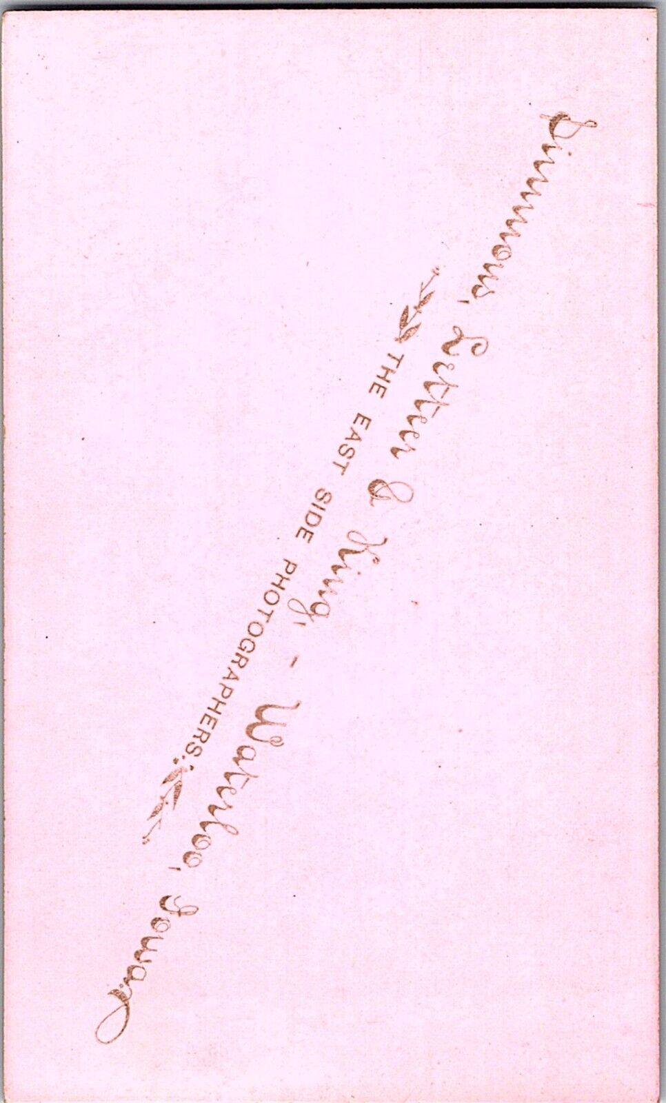 CDV Photo 1800's Waterloo, Ia. Studio Portrait Woman In Victorian Dress