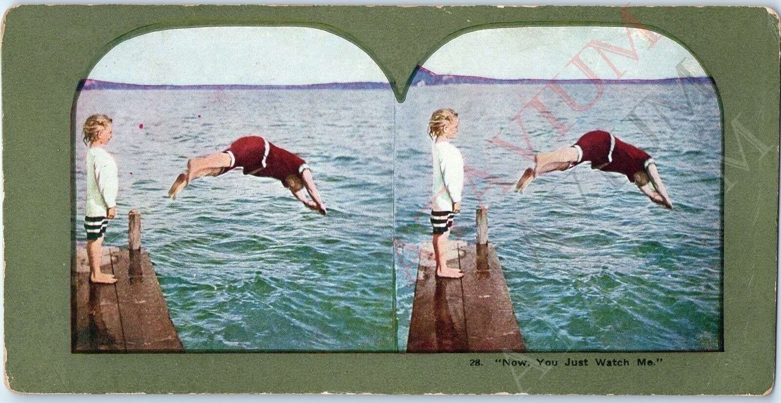 c1900s Girl Watches Father Dive Learn Swimming Pier Stereoview V37