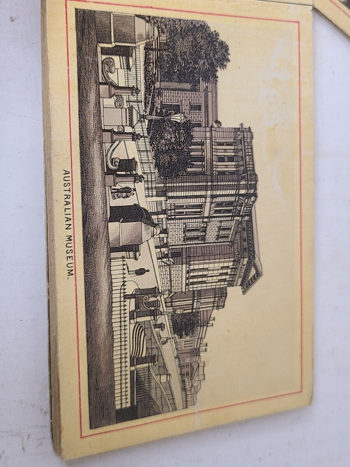 Antique Souvenir book of new South wales 1800s 21 fold-out black & white photos