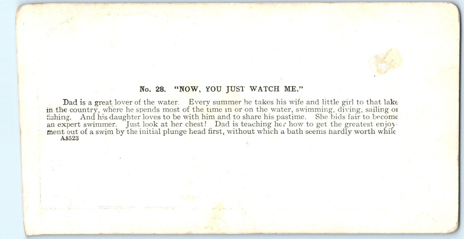 c1900s Girl Watches Father Dive Learn Swimming Pier Stereoview V37