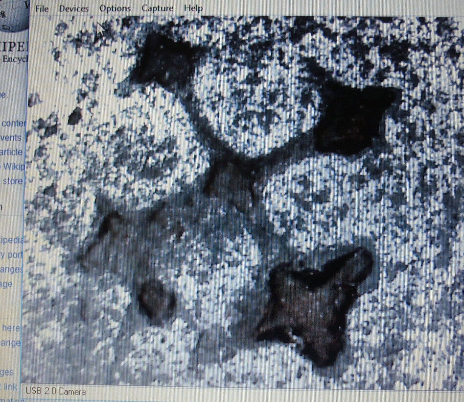 AUTHENTIC 1755 EUROPEAN SWORD