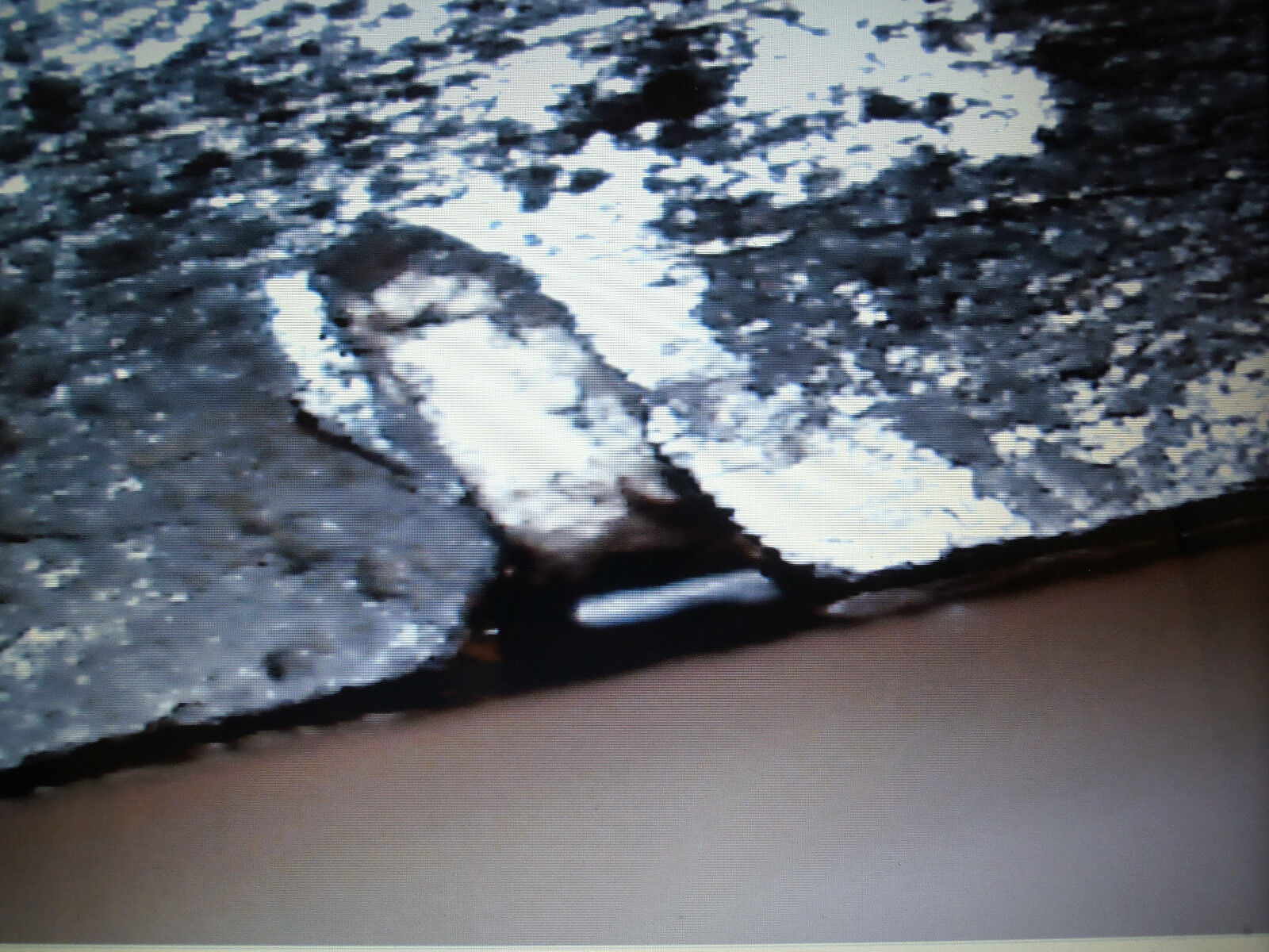 AUTHENTIC 1755 EUROPEAN SWORD