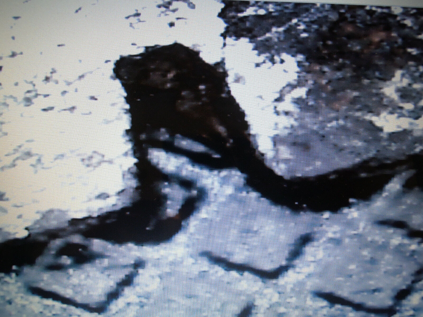 AUTHENTIC 1755 EUROPEAN SWORD