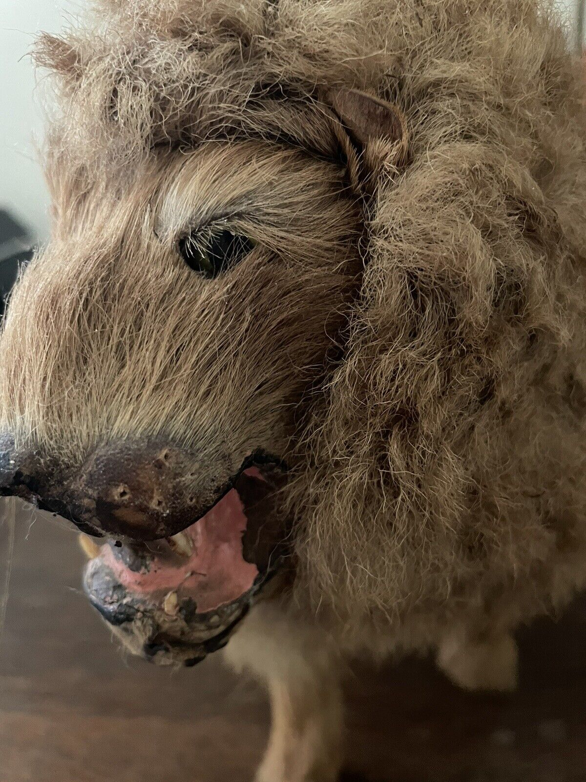 RARE ANTIQUE 1800s VICTORIAN MINIATURE LION CHILDS TOY