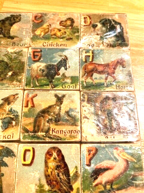 LATE 1800S EARLY 1900S COMPLETE SET OF WOODEN PICTURE BLOCKS WITH ANIMALS  ALPHA