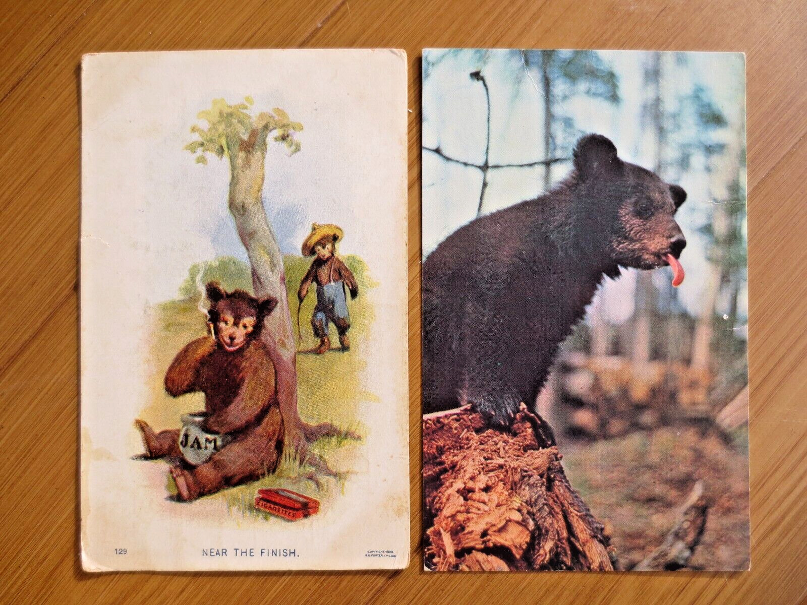 (2) Early 1900s Alaskan Black Bear Tongue Cub Jam Pot Comic Postcards Posted