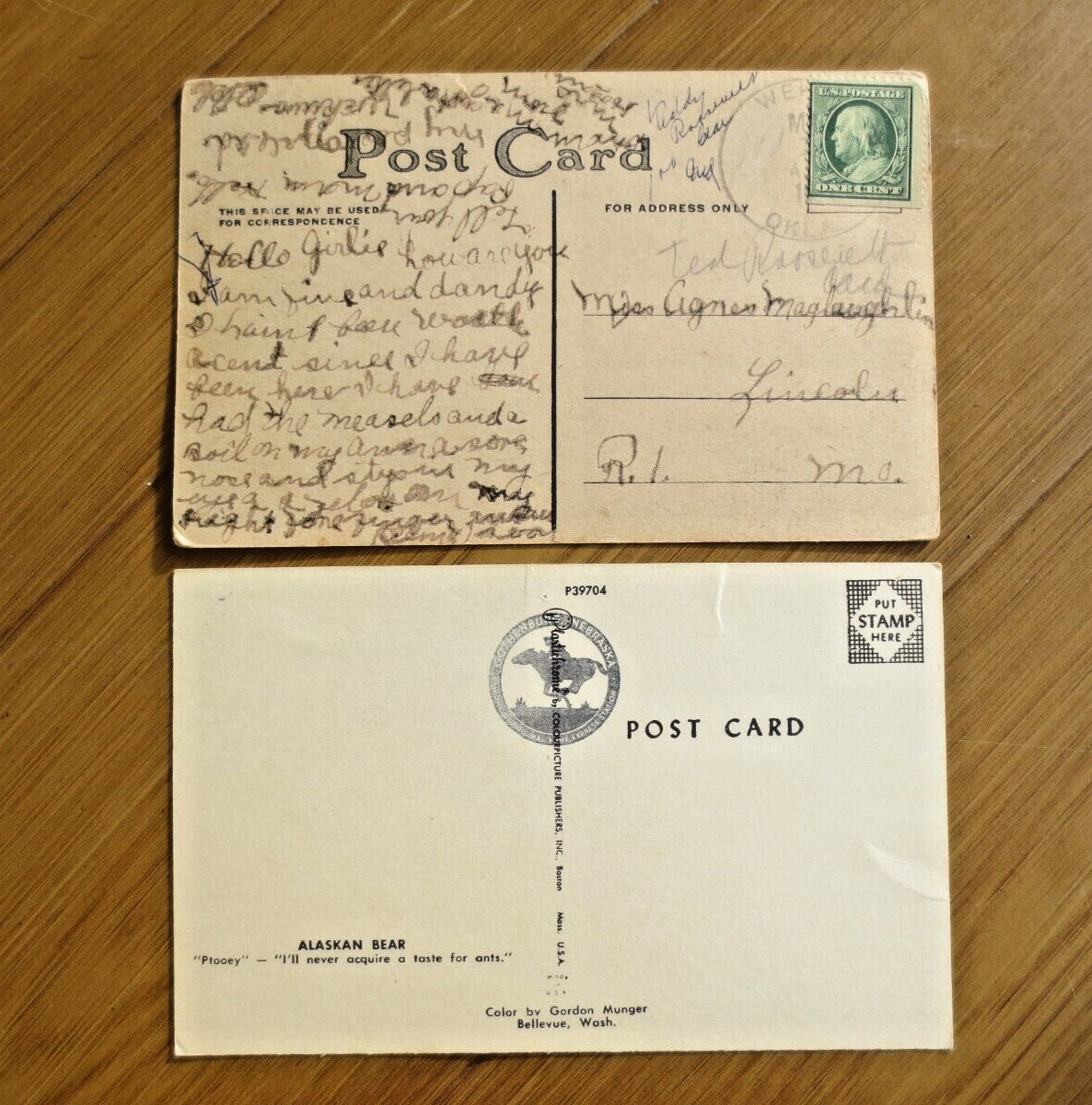 (2) Early 1900s Alaskan Black Bear Tongue Cub Jam Pot Comic Postcards Posted