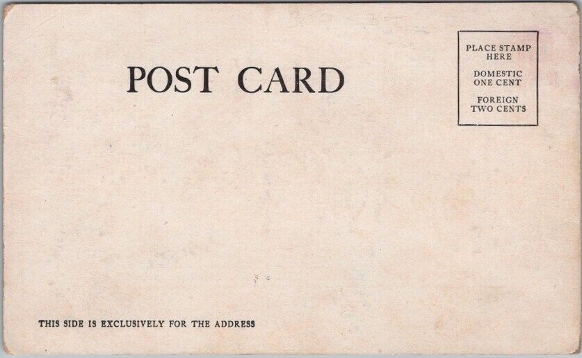 Vintage 1900s Artist-Signed KROGSTAD Comic Postcard "THE BURST FAMILY" Unused