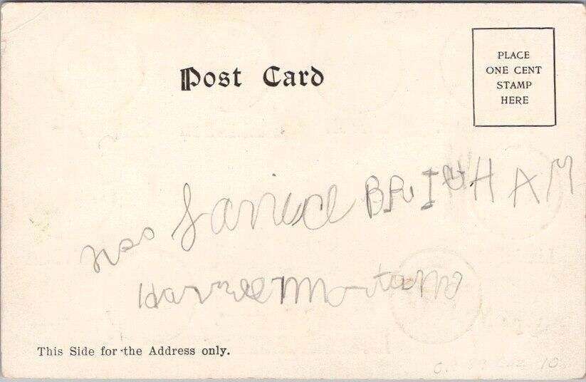 Vintage 1900s Comic Greetings Postcard "THE WHOLE DAM FAMILY" Undivided Back