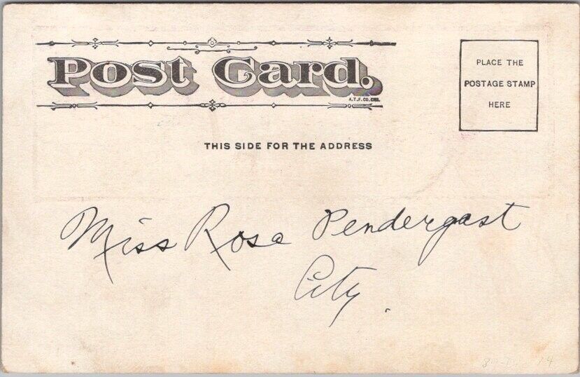 Vintage 1900s Comic Greetings Postcard "THE WHOLE DAMM FAMILY" Undivided Back