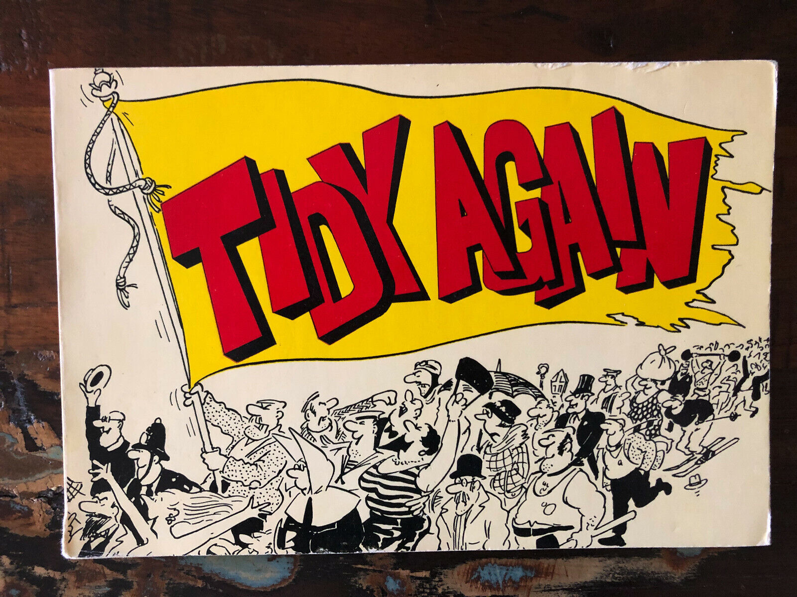 Tidy Again by Bill Tidy 1970