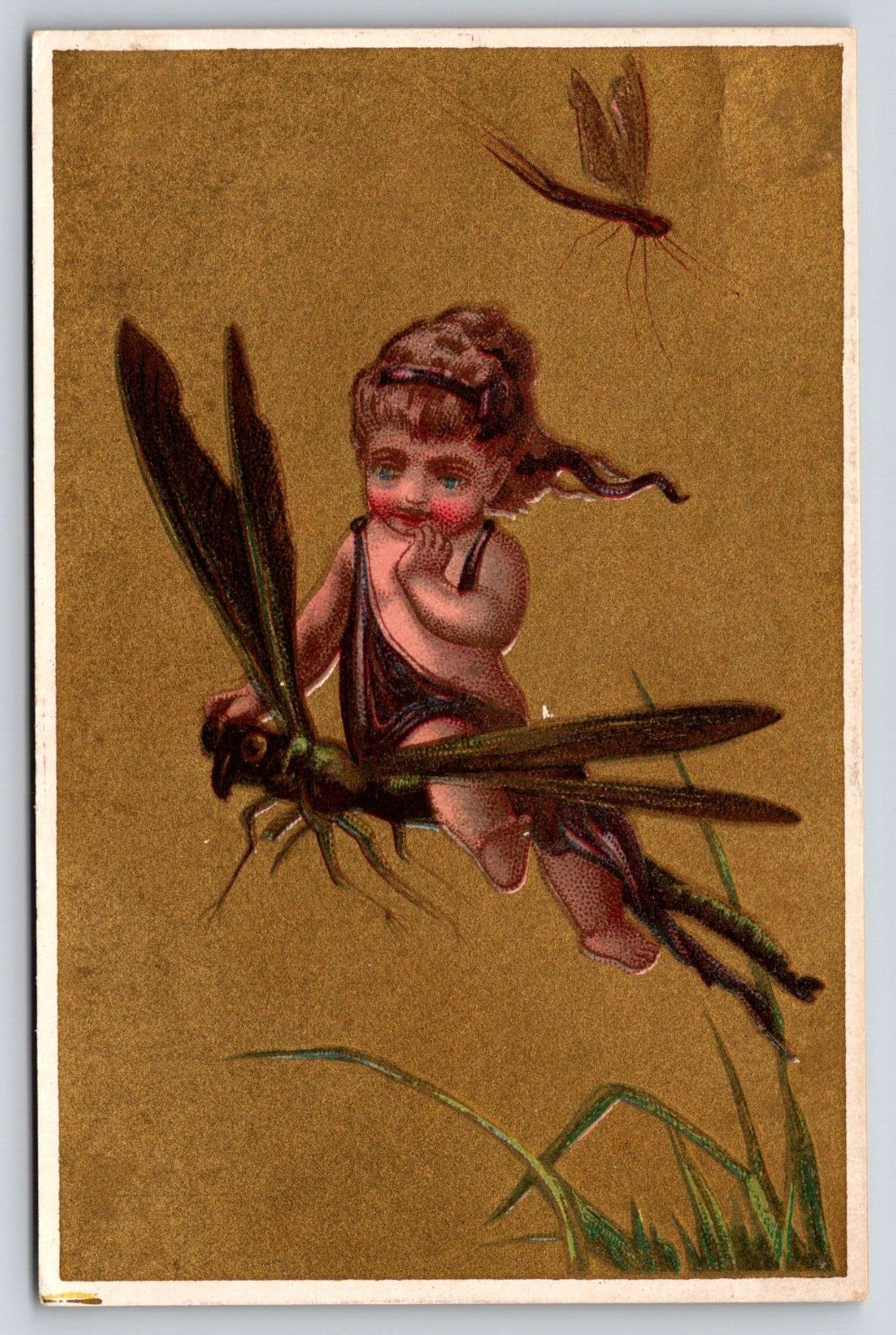 Dragonfly Bug Insect 1800's Victorian Trade Card Comic Antique