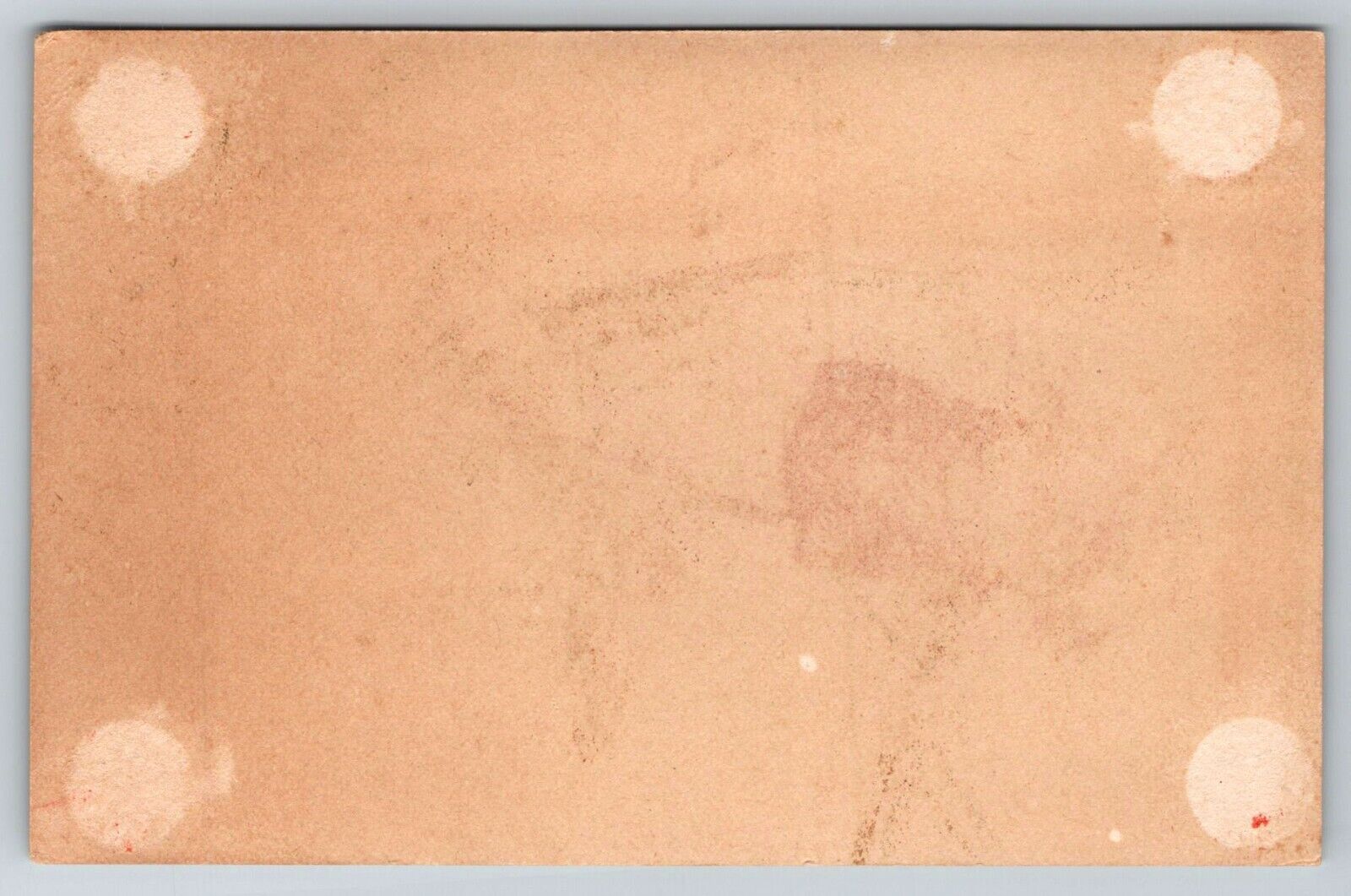 Grasshopper Bug Insect 1800's Victorian Trade Card Comic Antique