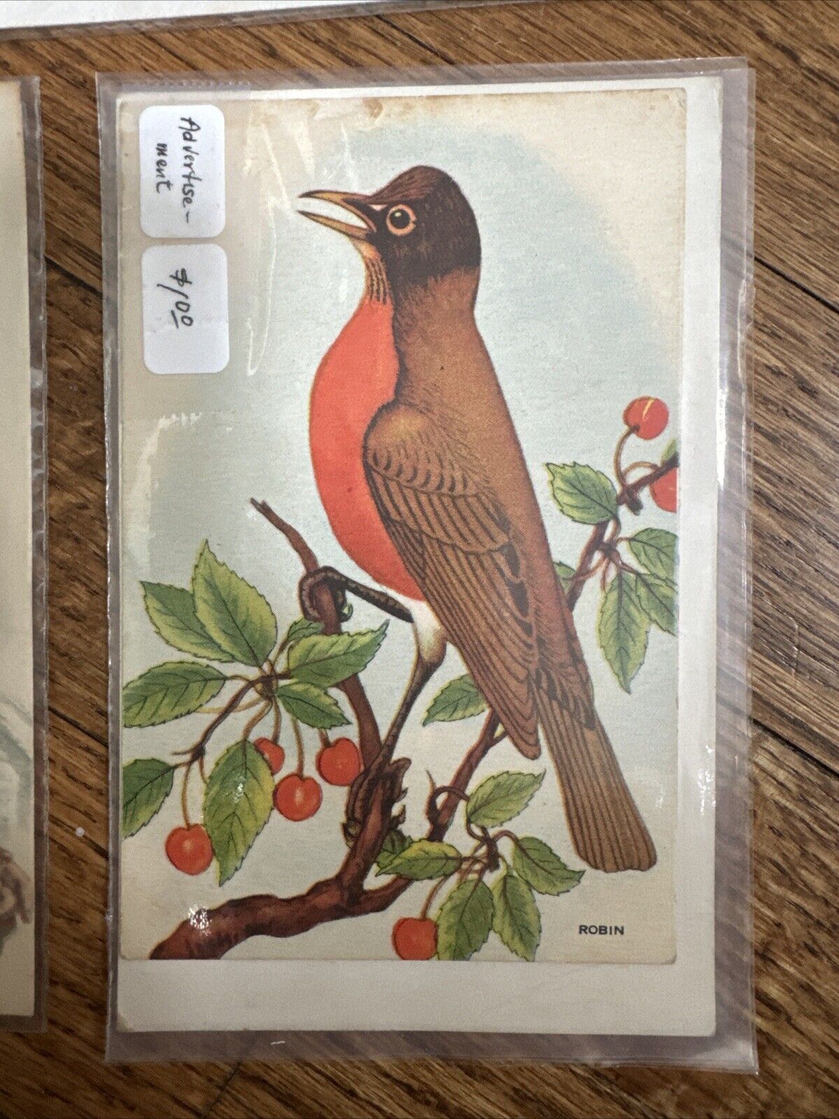 SUPER COOL! Lot of 10 Vintage Postcards from Early 1900s In plastic/GREAT shape