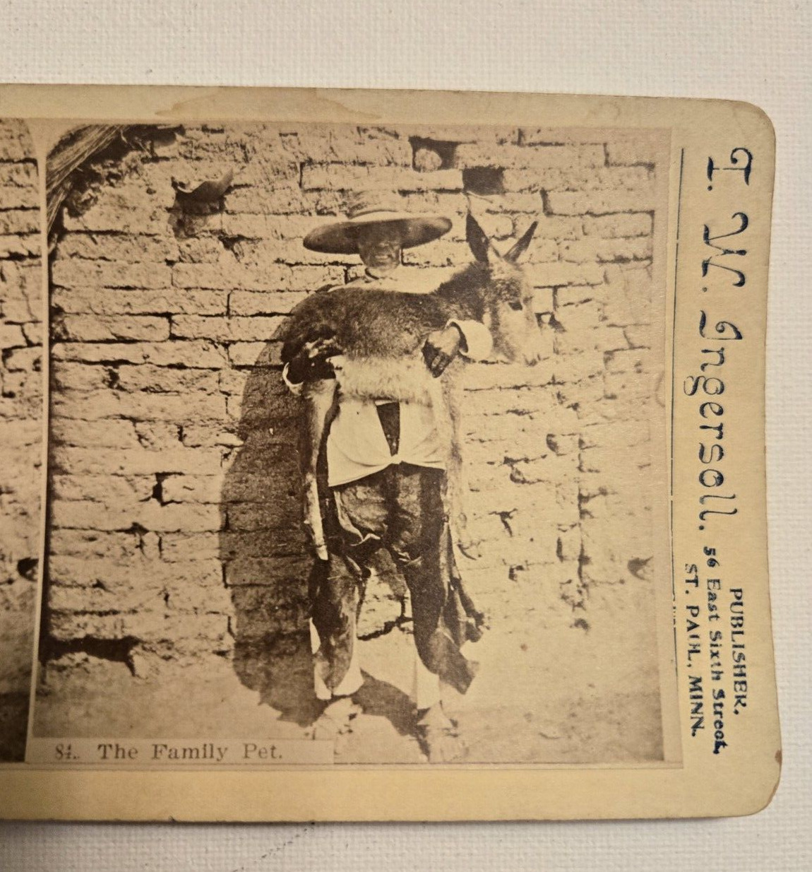 1800's Genre & Comics Mexico Man with Donkey Ingersoll Stereoview
