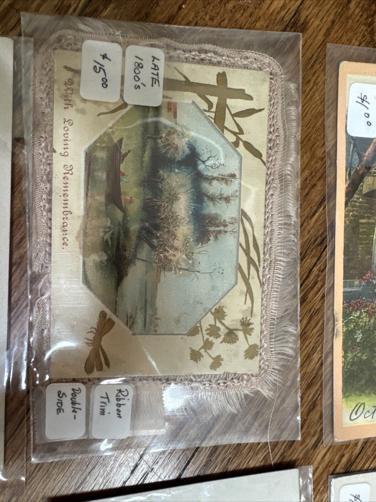 SUPER COOL! Lot of 10 Vintage Postcards from Early 1900s In plastic/GREAT shape