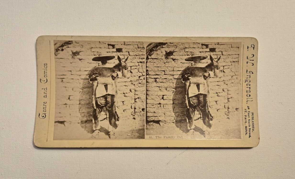 1800's Genre & Comics Mexico Man with Donkey Ingersoll Stereoview