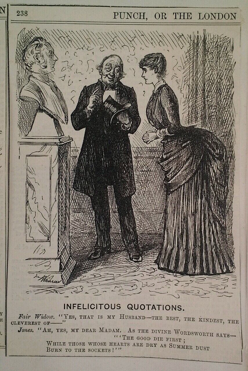 1800s Antique Illustration Print Original Rare VHTF Punch Fashion Widow Bust UK 