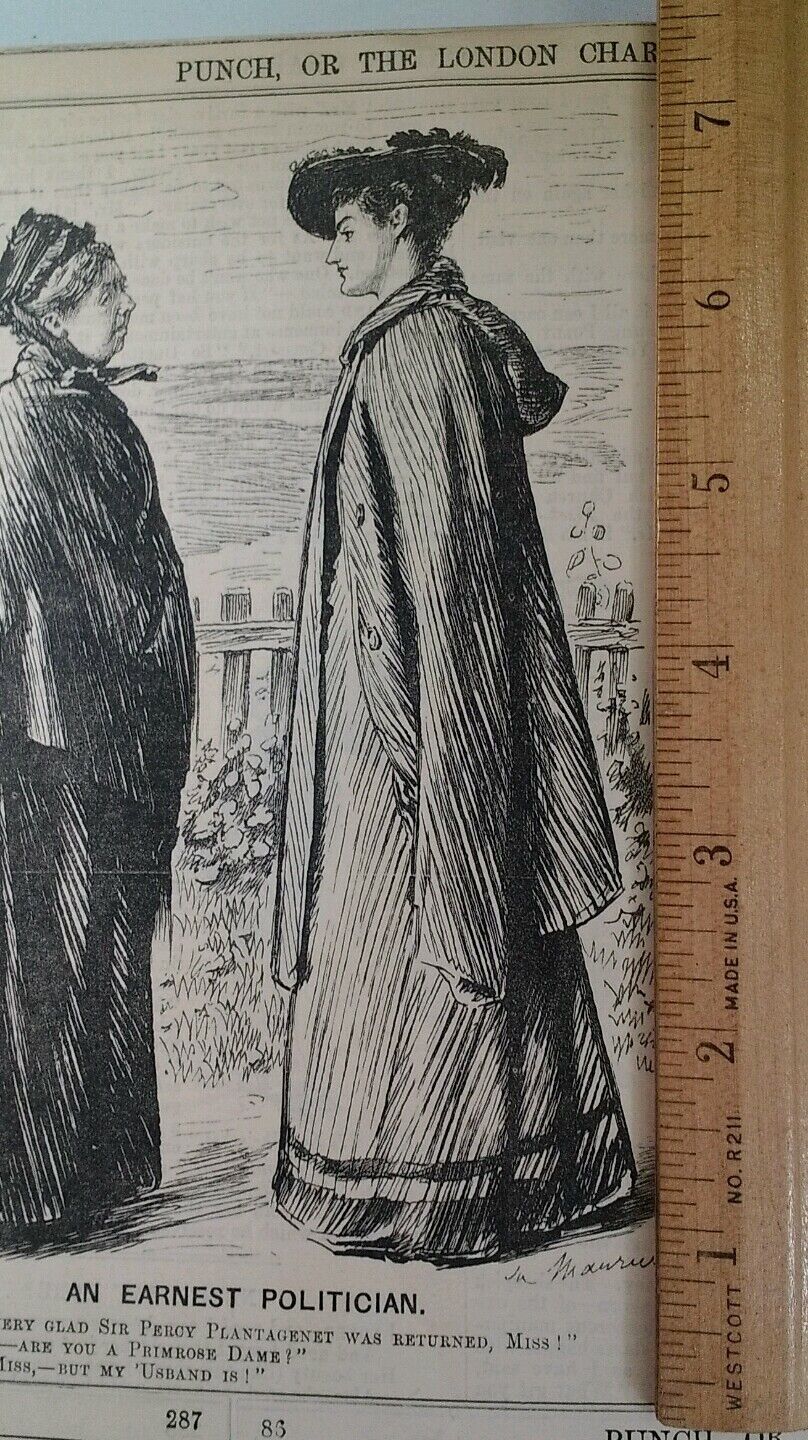 1800s Antique Illustration Print Original Rare VHTF Punch Mag Fashion Politics