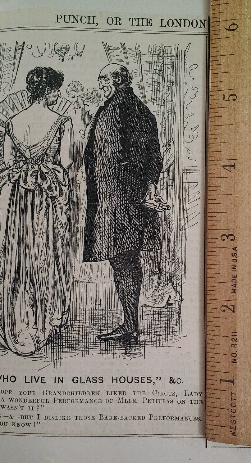 1800s Antique Illustration Print Original Rare VHTF Punch Fashion Glass Houses 