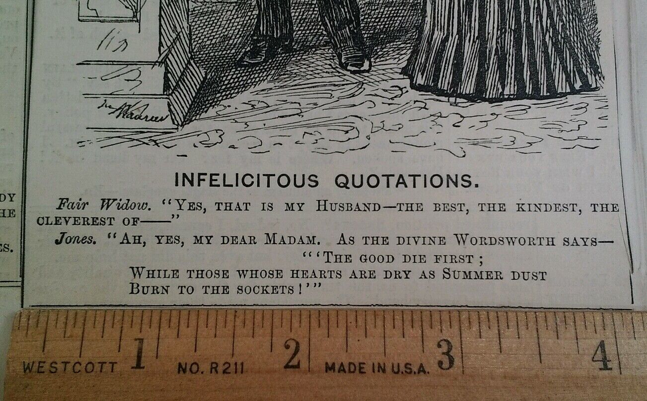 1800s Antique Illustration Print Original Rare VHTF Punch Fashion Widow Bust UK 