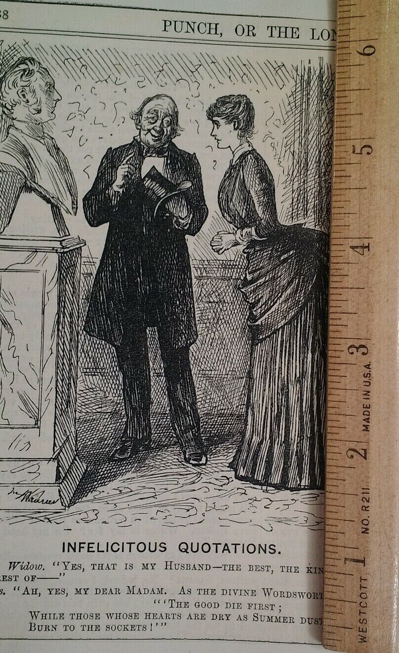 1800s Antique Illustration Print Original Rare VHTF Punch Fashion Widow Bust UK 