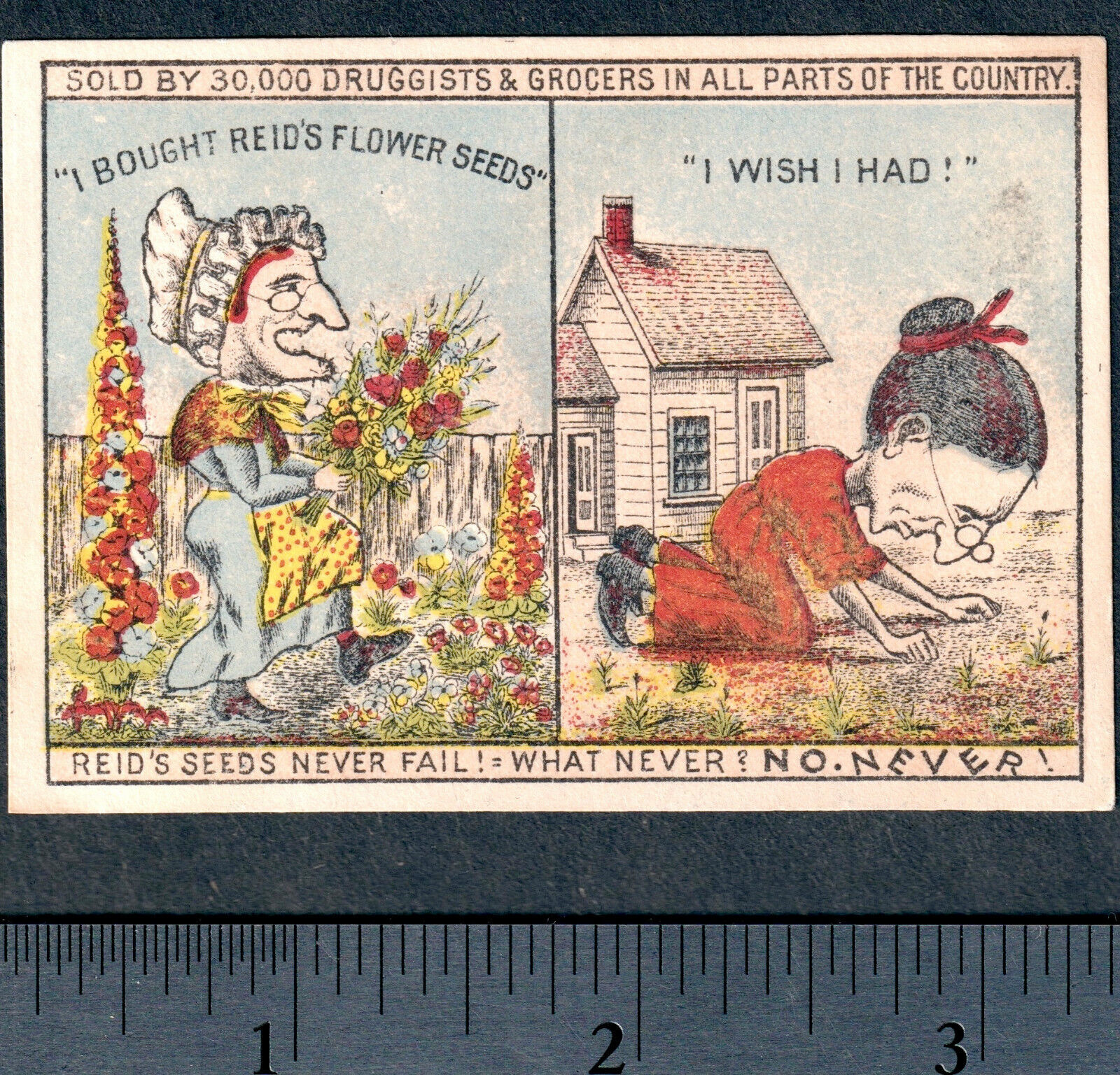 Lady Hag 1800's Comic Strip Advertising Card Reids Flower Seed G&S HMS Pinafore