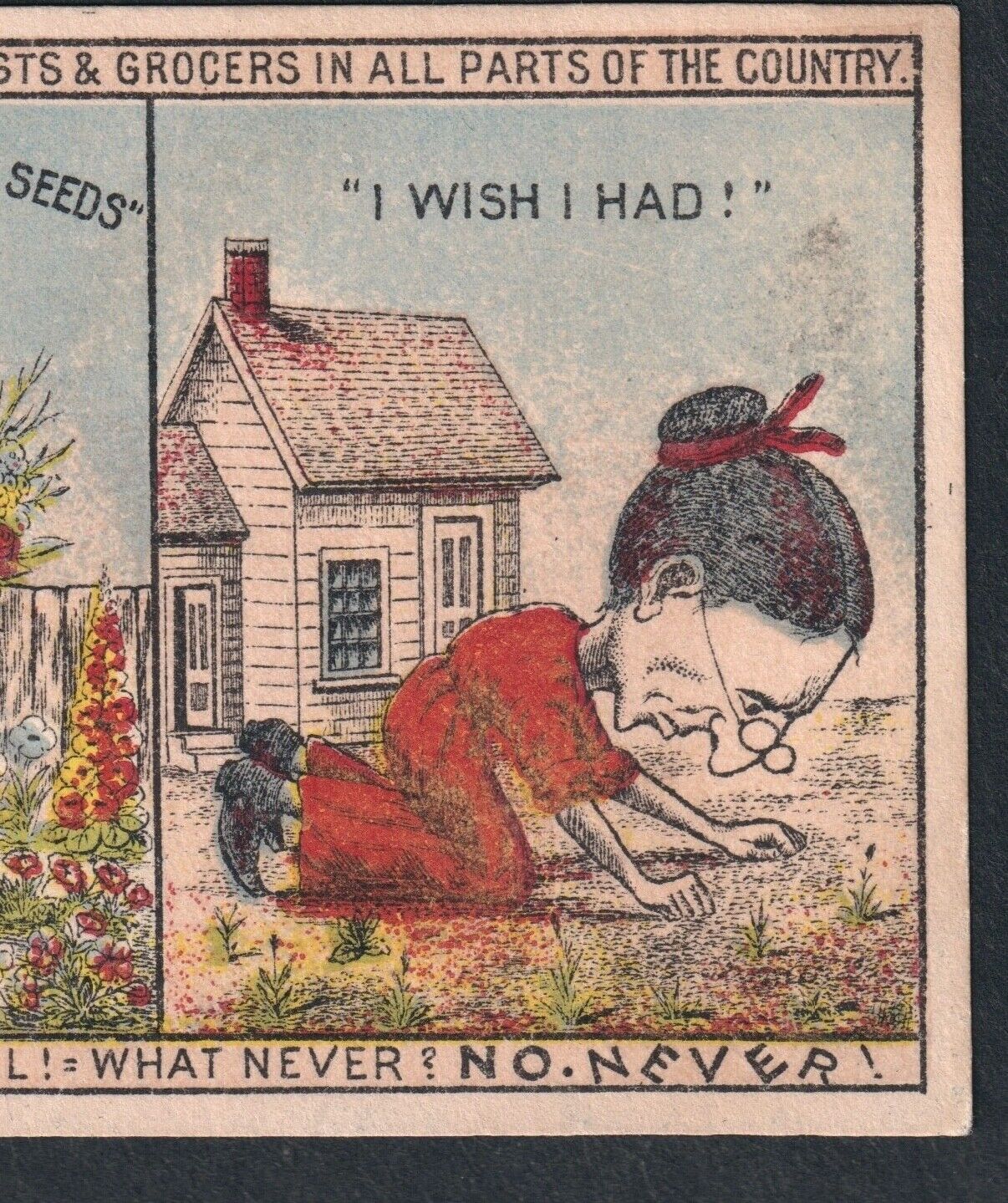 Lady Hag 1800's Comic Strip Advertising Card Reids Flower Seed G&S HMS Pinafore