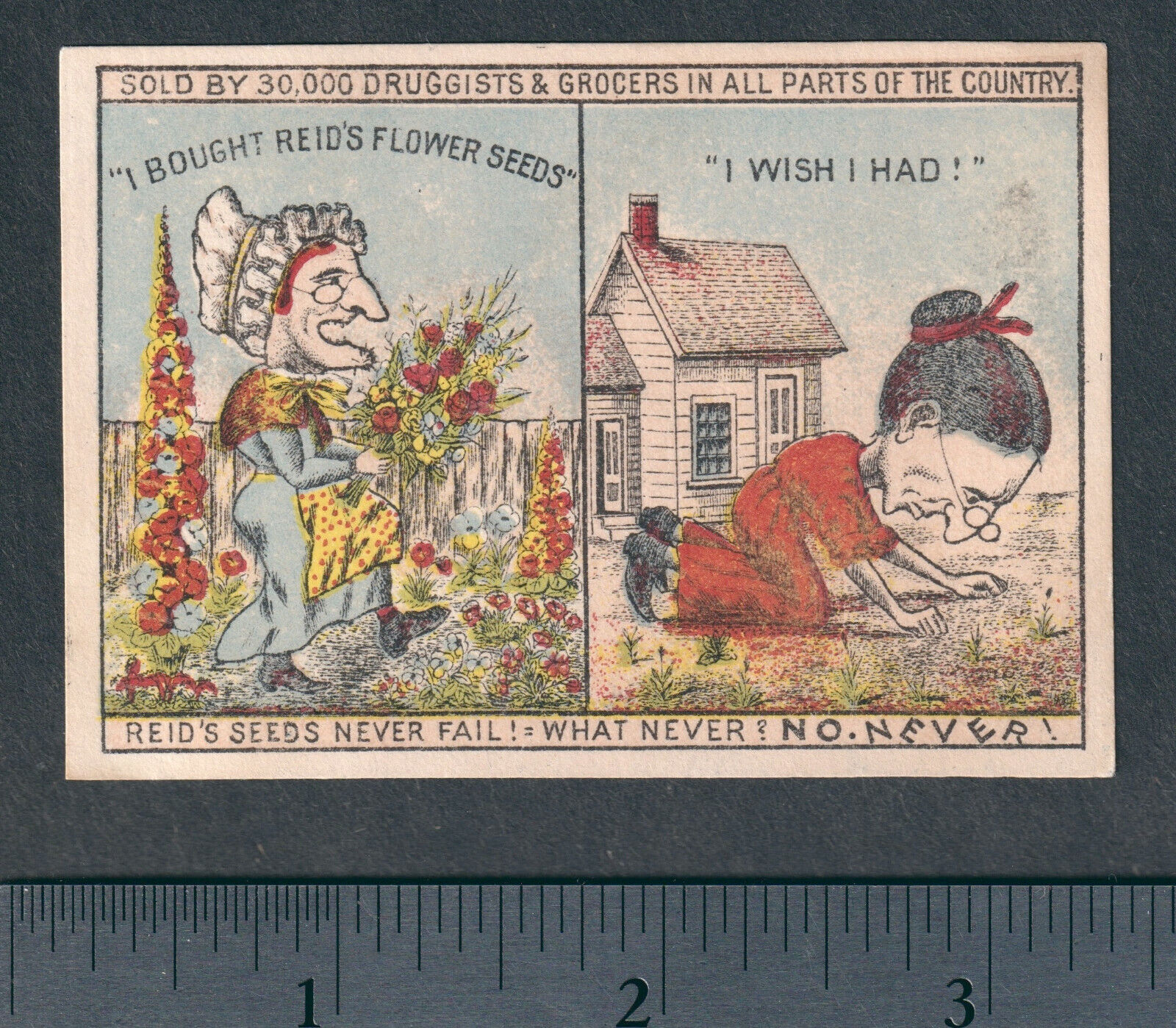 Lady Hag 1800's Comic Strip Advertising Card Reids Flower Seed G&S HMS Pinafore