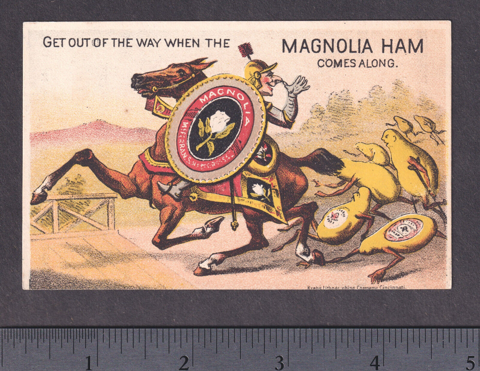 Knight 1879 Comic Fantasy Anthropomorphic Magnolia Ham Meat Victorian Trade Card