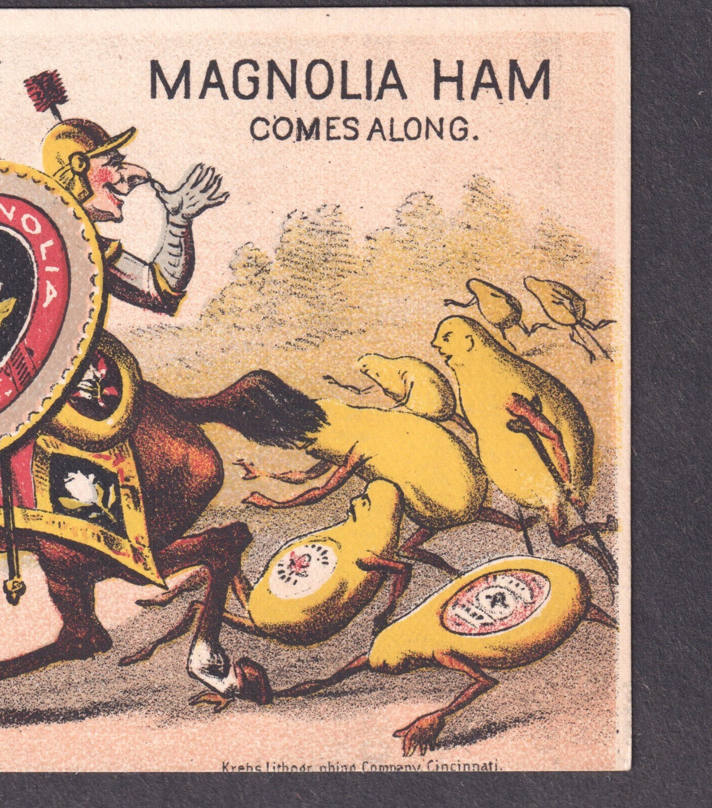 Knight 1879 Comic Fantasy Anthropomorphic Magnolia Ham Meat Victorian Trade Card