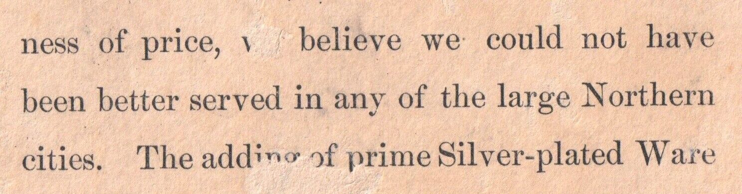 Raleigh Charlotte NC 1800's Silver Watermelon Comic Shadow Silhouette Trade Card