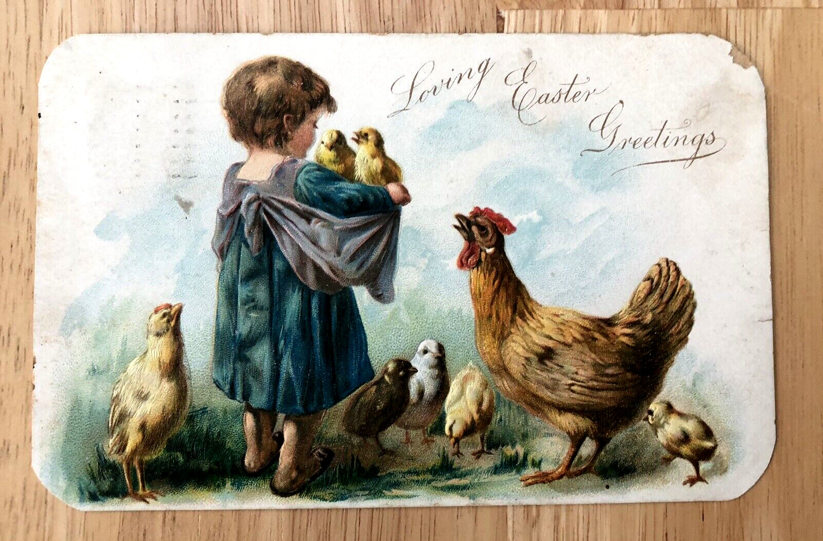 ANTIQUE EARLY 1900s LOT OF 8 EASTER CHICK POSTCARDS - 4 ONE CENT STAMPS