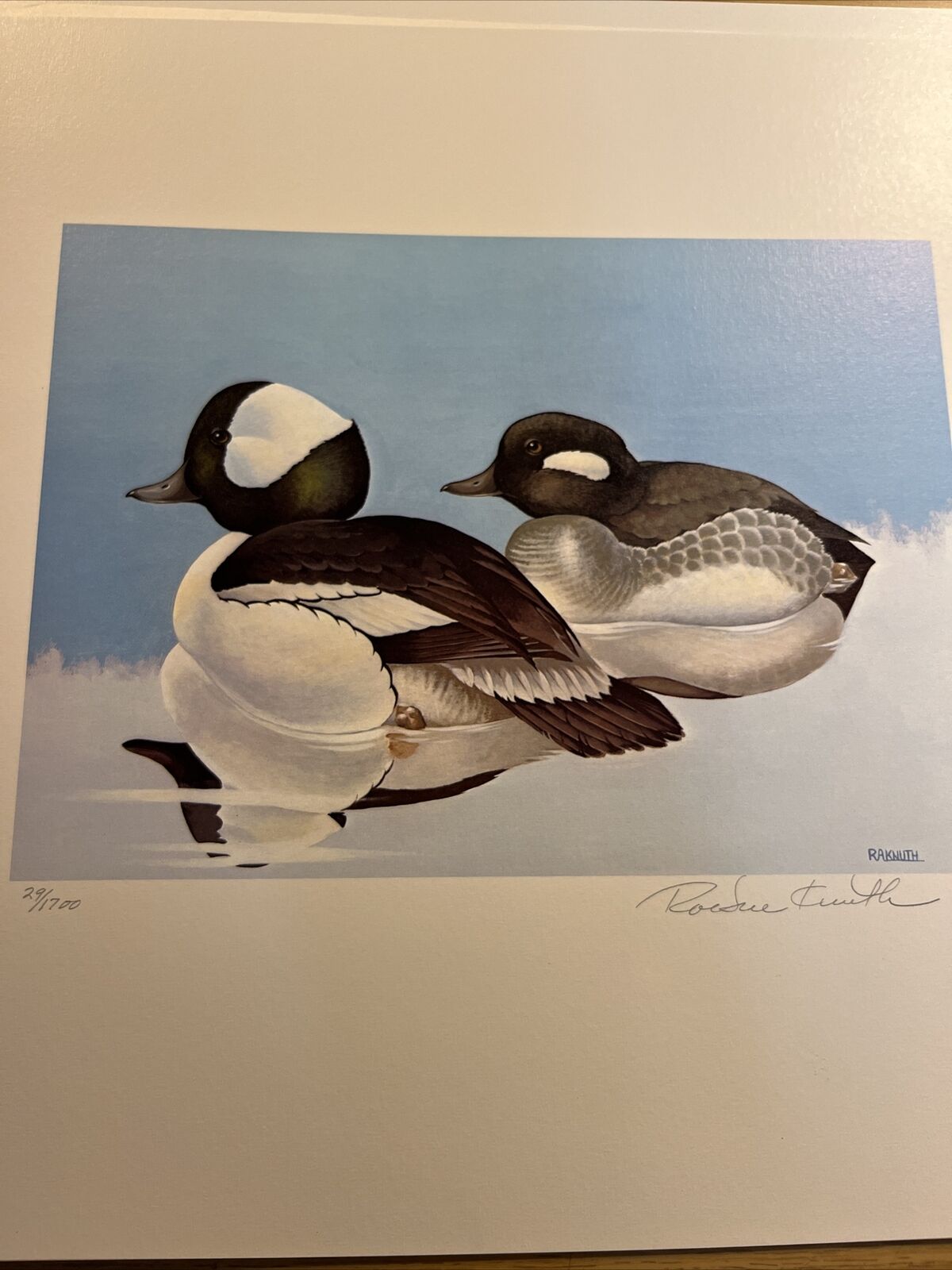 Rockne Knuth,1979, Wisc Duck Stamp Print,29/1700, S.Stamp,mint Condition