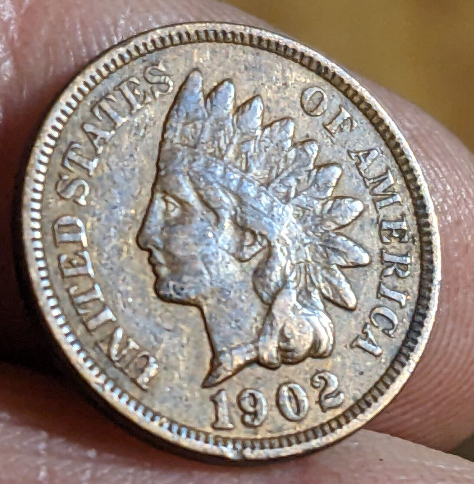 1900’s Indian Head Cent Half Roll (25) F-XF Nice Problem Free Circulated Coins