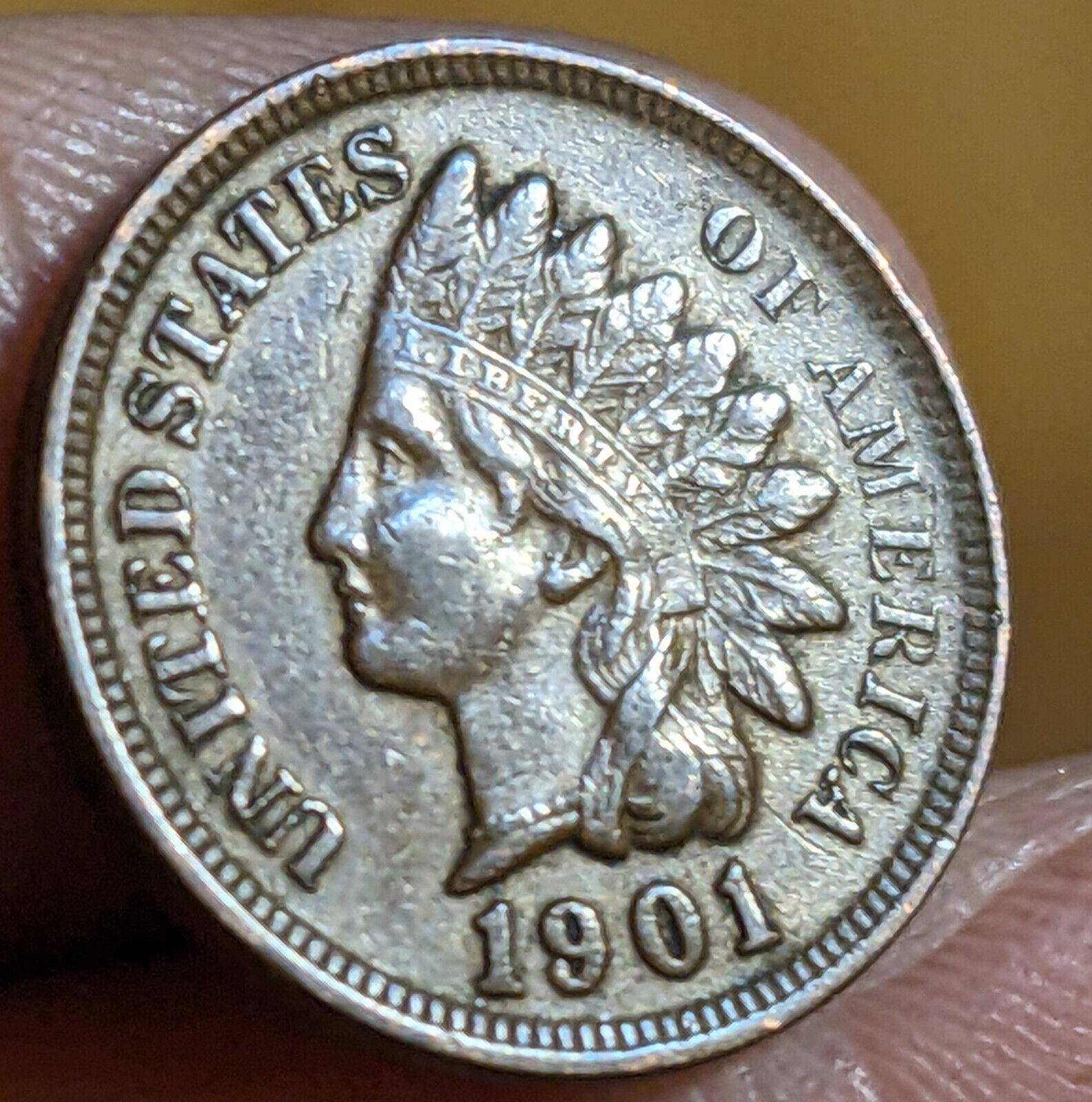 1900’s Indian Head Cent Half Roll (25) F-XF Nice Problem Free Circulated Coins