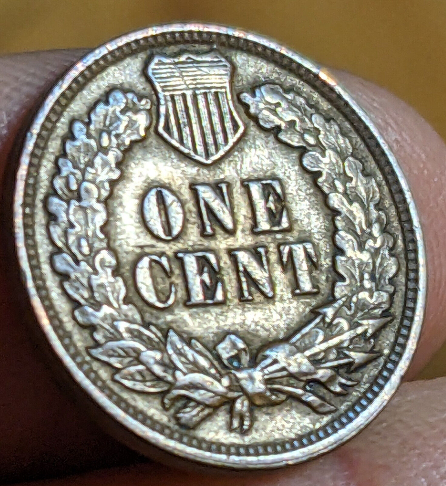 1900’s Indian Head Cent Half Roll (25) F-XF Nice Problem Free Circulated Coins