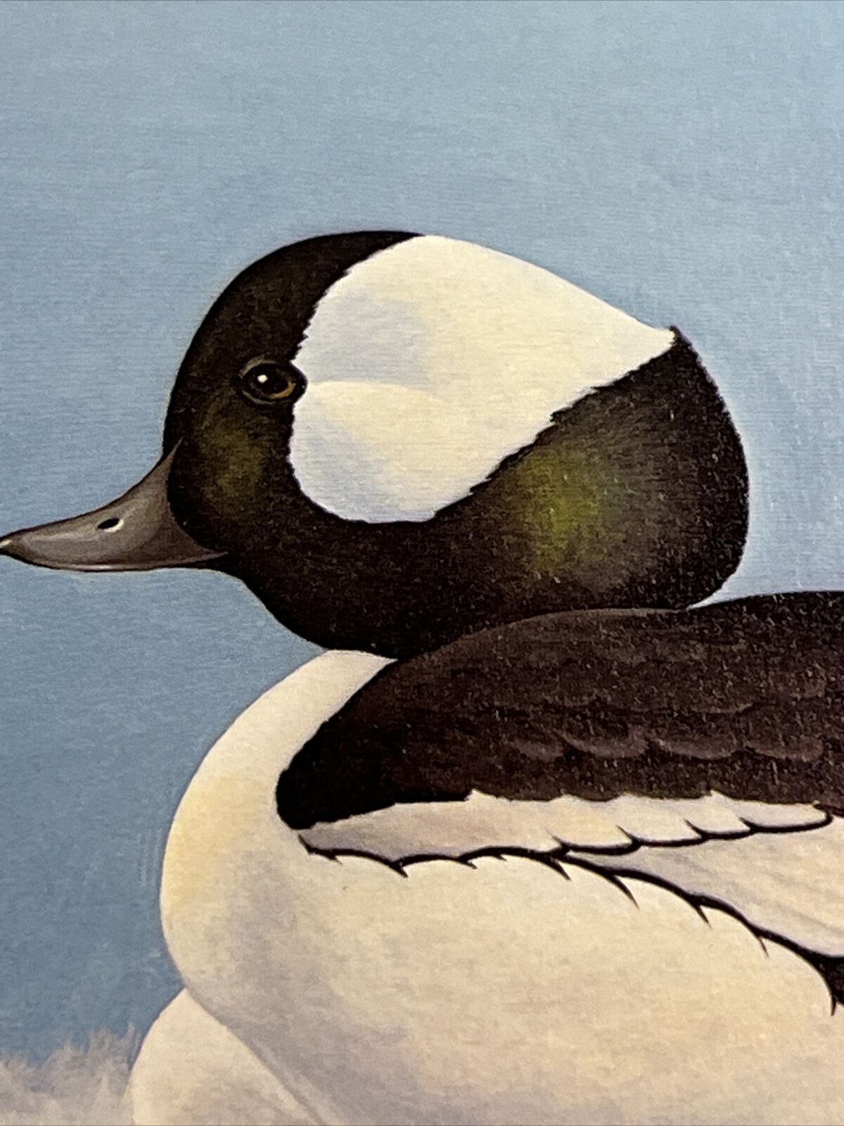 Rockne Knuth,1979, Wisc Duck Stamp Print,29/1700, S.Stamp,mint Condition