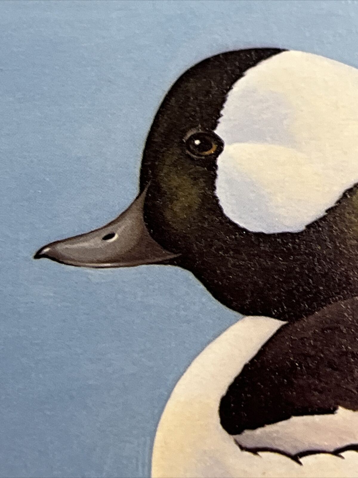Rockne Knuth,1979, Wisc Duck Stamp Print,29/1700, S.Stamp,mint Condition