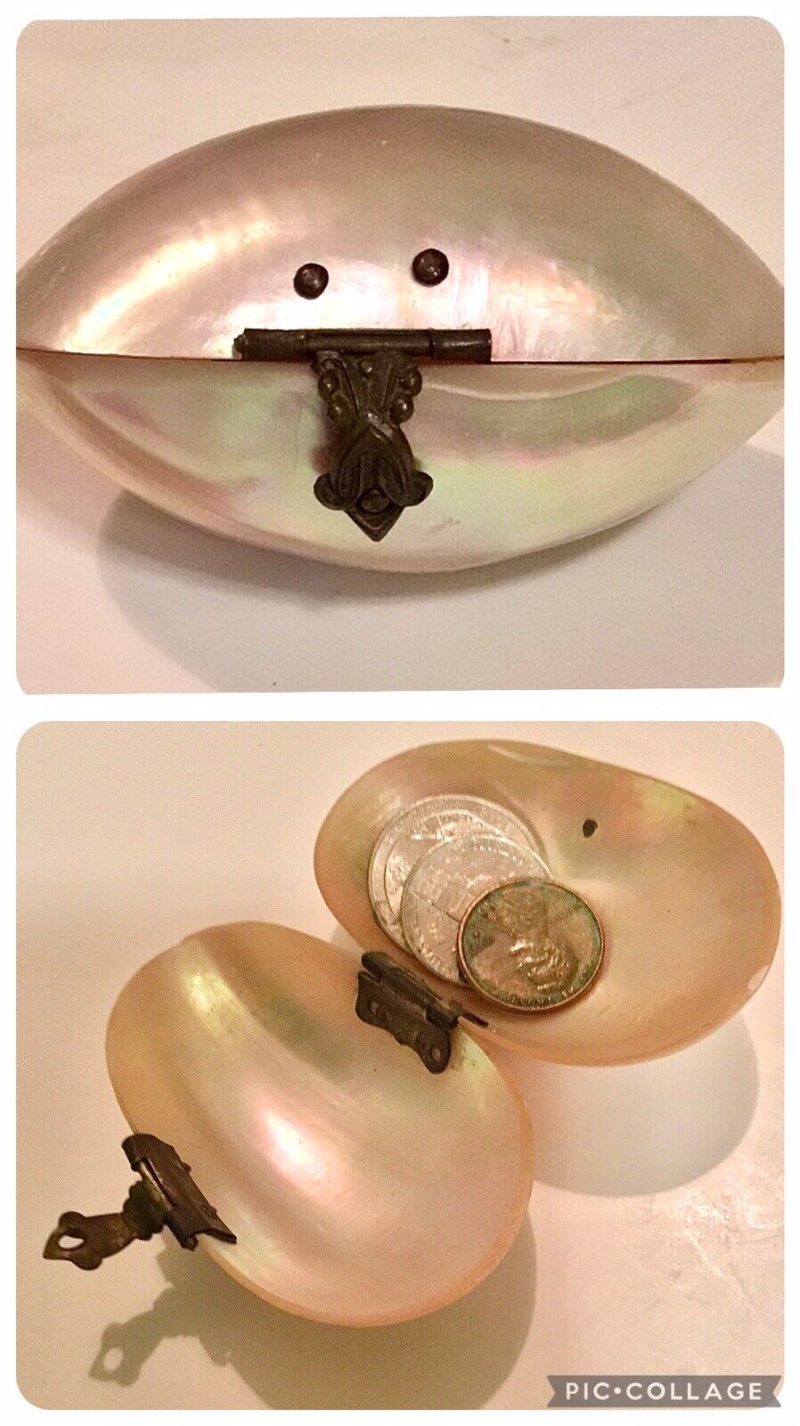 Antique Shell Coin Purse 1800’s Mother of Pearl Inside & Out Brass Closure EVC