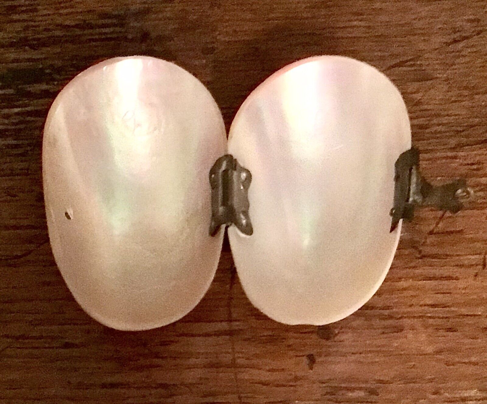 Antique Shell Coin Purse 1800’s Mother of Pearl Inside & Out Brass Closure EVC