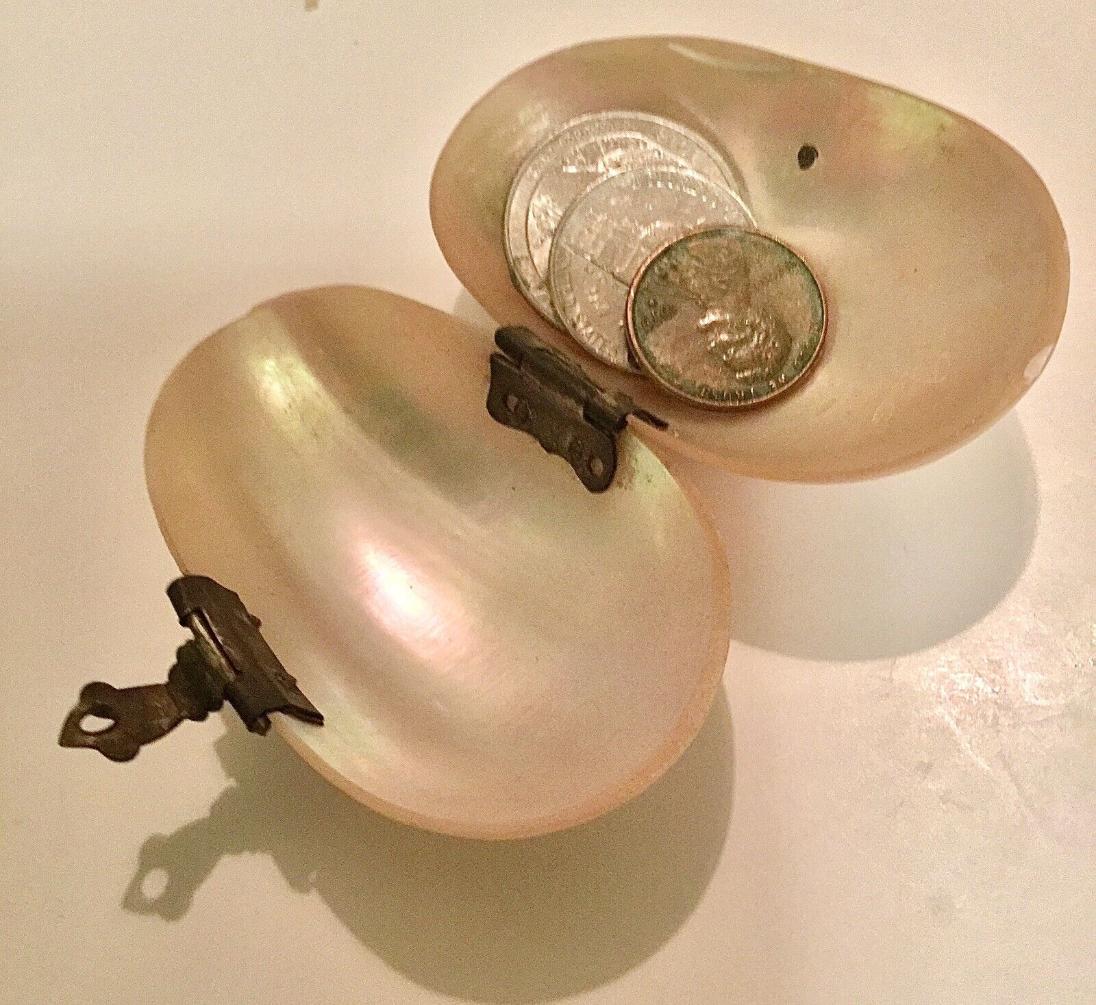 Antique Shell Coin Purse 1800’s Mother of Pearl Inside & Out Brass Closure EVC