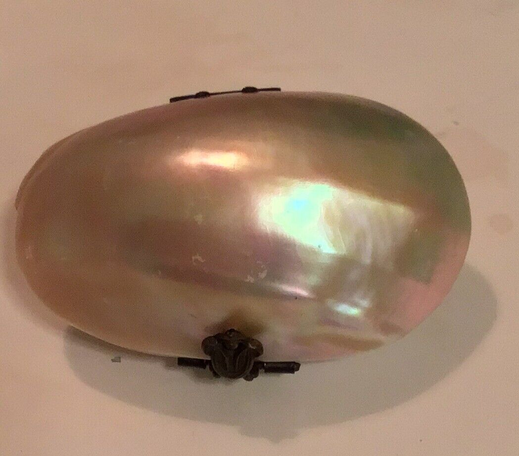 Antique Shell Coin Purse 1800’s Mother of Pearl Inside & Out Brass Closure EVC