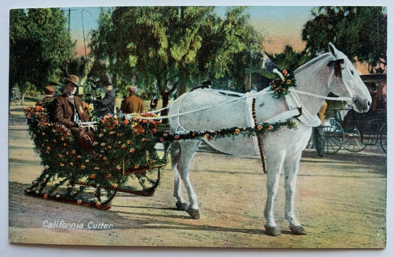 ca 1900s CA Postcard California Cutter sleigh roses flowers horse man vintage