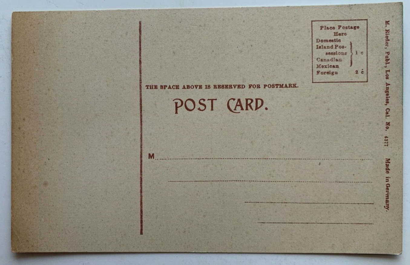 ca 1900s CA Postcard California Cutter sleigh roses flowers horse man vintage