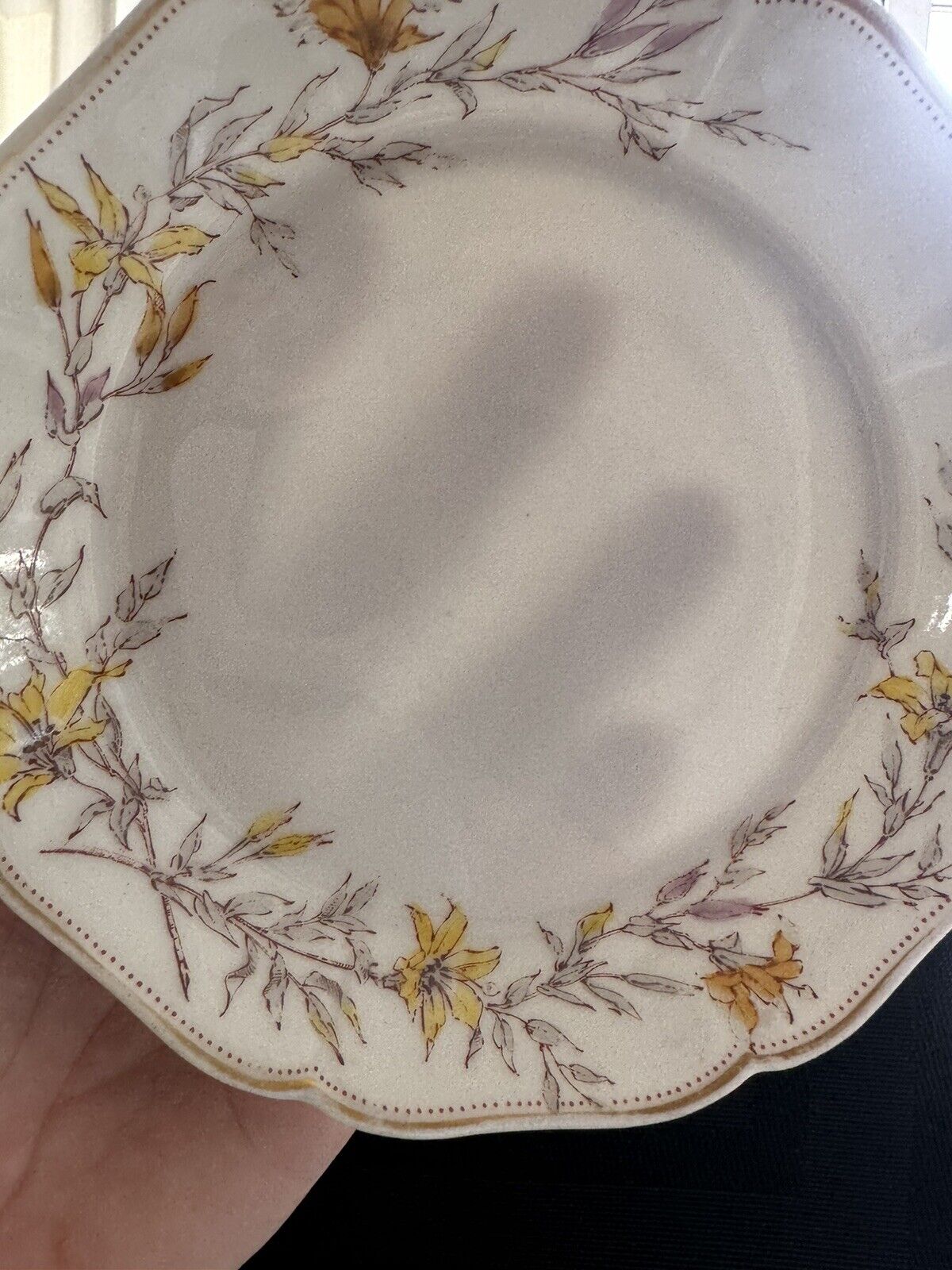 Haviland Limoges H&C Depose 5 1/2” Dish/Bowl Hand painted Early 1900s. Lily Gold
