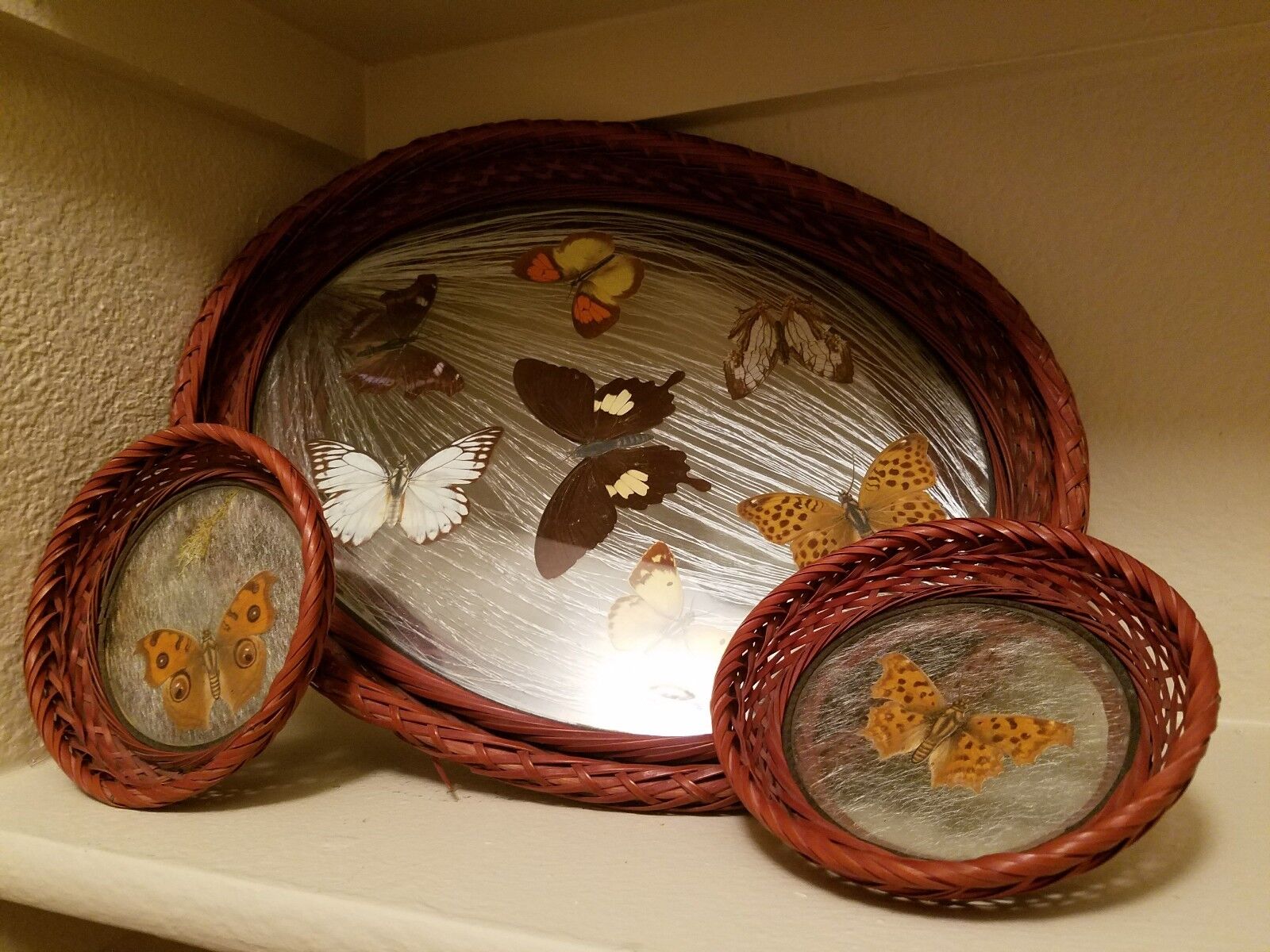 Handmade Glass 1800’s Antique Tray & Two Coasters ~ Real Butterflies