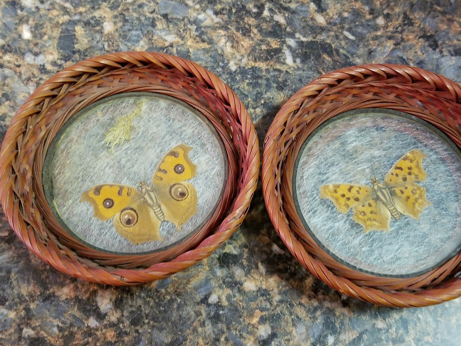 Handmade Glass 1800’s Antique Tray & Two Coasters ~ Real Butterflies